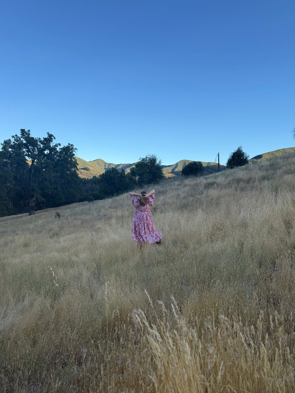 Queenie Dress