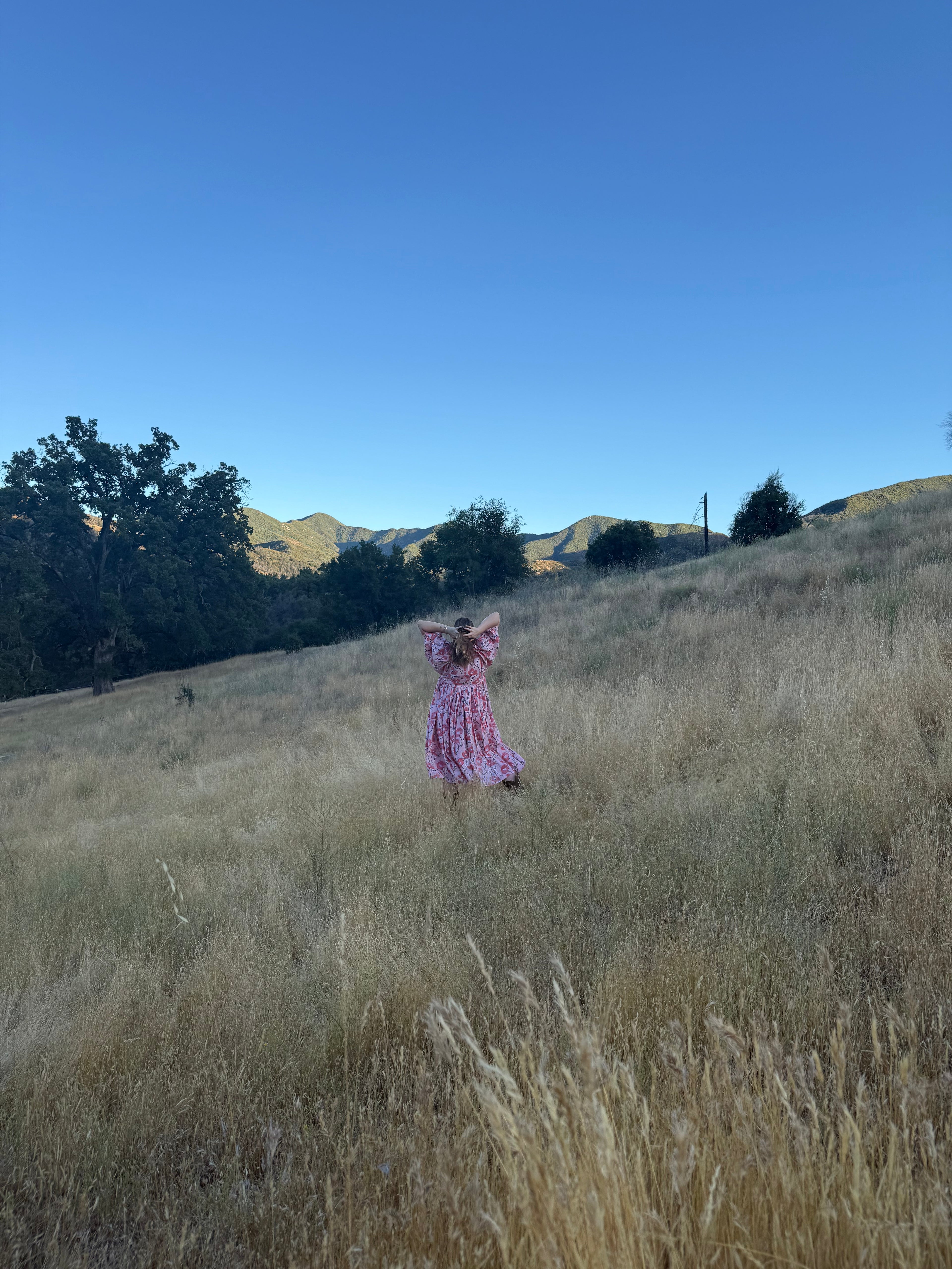 Queenie Dress